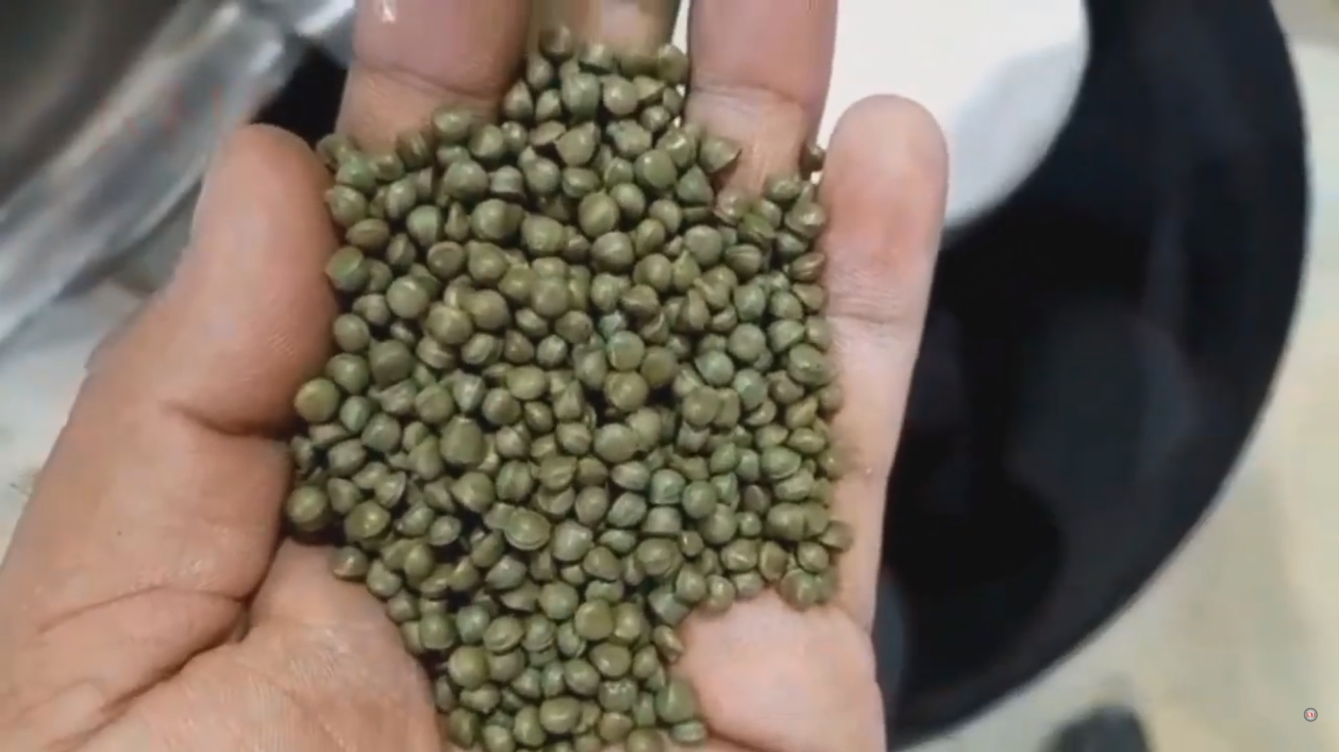 Plastic Recycling with KBM&rsquo;s Full Washing Line & Cutter Compactor Plant